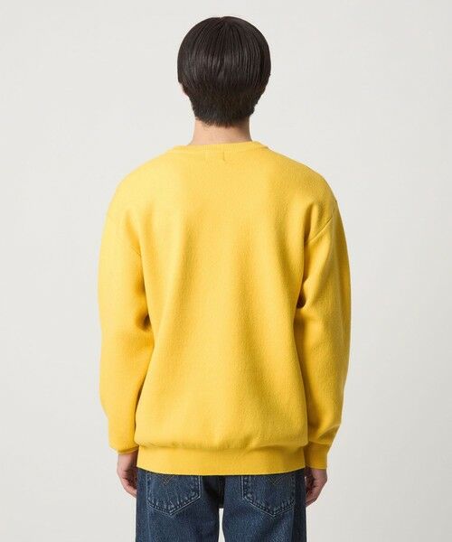 green label relaxing / グリーンレーベル リラクシング ニット・セーター | ダブルフェイス クルーネック ニット | 詳細12