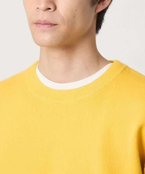 green label relaxing / グリーンレーベル リラクシング ニット・セーター | ダブルフェイス クルーネック ニット | 詳細13