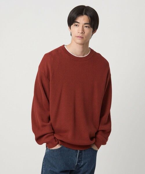 green label relaxing / グリーンレーベル リラクシング ニット・セーター | コットン アゼ クルーネック ニット | 詳細20