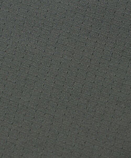 green label relaxing / グリーンレーベル リラクシング ネックウォーマー・イヤーマフ | ＜THE NORTH FACE＞マイクロストレッチ ネックゲイター | 詳細9