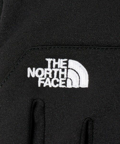 green label relaxing / グリーンレーベル リラクシング 手袋 | ＜THE NORTH FACE＞イーチップ グローブ | 詳細9