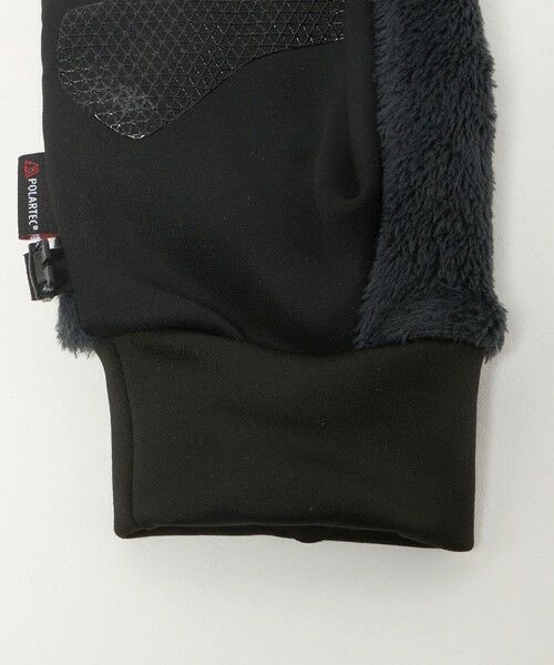 green label relaxing / グリーンレーベル リラクシング 手袋 | ＜THE NORTH FACE＞デナリ イーチップ グローブ | 詳細4