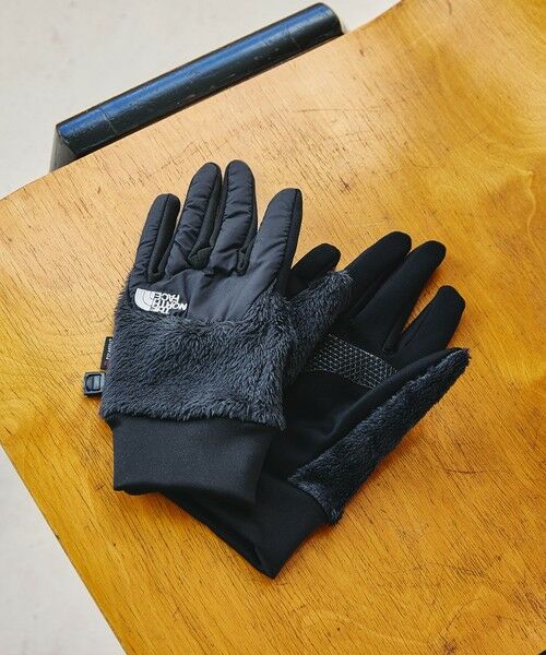 green label relaxing / グリーンレーベル リラクシング 手袋 | ＜THE NORTH FACE＞デナリ イーチップ グローブ | 詳細2