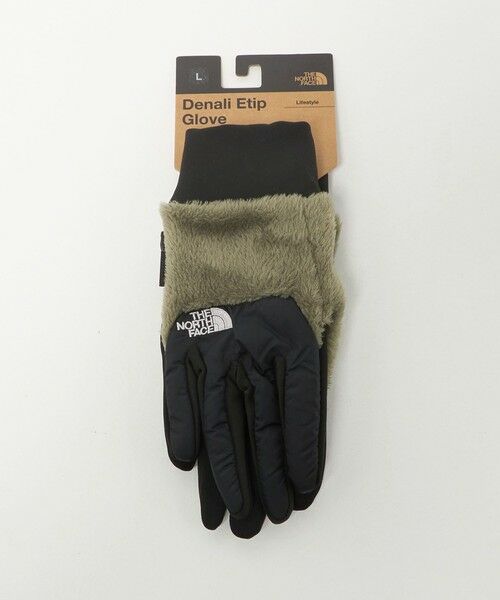 green label relaxing / グリーンレーベル リラクシング 手袋 | ＜THE NORTH FACE＞デナリ イーチップ グローブ | 詳細14
