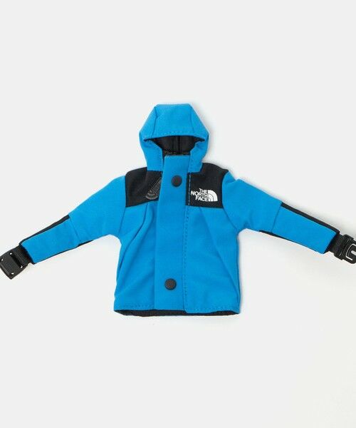 green label relaxing / グリーンレーベル リラクシング キーホルダー・ストラップ | ＜THE NORTH FACE＞ミニマウンテンジャケット キーホルダー | 詳細7