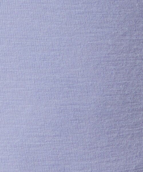 green label relaxing / グリーンレーベル リラクシング カットソー | ウール フライス タートルネック カットソー オフホワイト ライトブルー ウォッシャブル | 詳細15