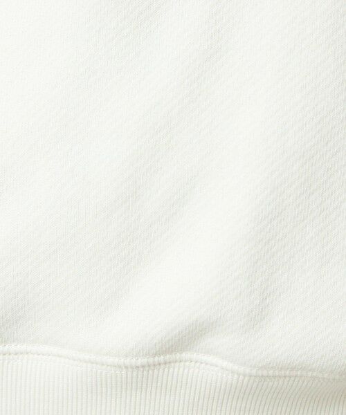 green label relaxing / グリーンレーベル リラクシング スウェット | フォルム スウェット プルオーバー | 詳細5