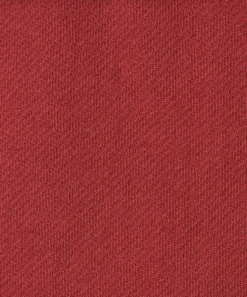 green label relaxing / グリーンレーベル リラクシング スウェット | フォルム スウェット プルオーバー | 詳細30