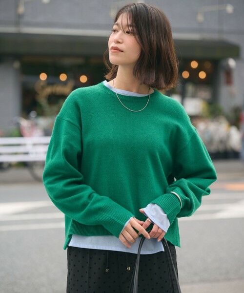 green label relaxing / グリーンレーベル リラクシング ニット・セーター | 【WEB限定】＜at ease＞サイド スリット プルオーバー ニット ウォッシャブル | 詳細26