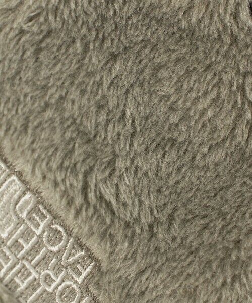 green label relaxing / グリーンレーベル リラクシング 手袋 | ＜THE NORTH FACE＞バーサロフトイーチップグローブ / 手袋 | 詳細13