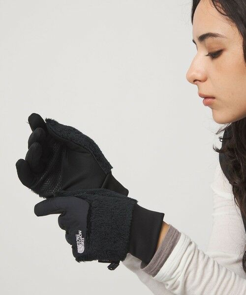 green label relaxing / グリーンレーベル リラクシング 手袋 | ＜THE NORTH FACE＞デナリイー チップ グローブ | 詳細1