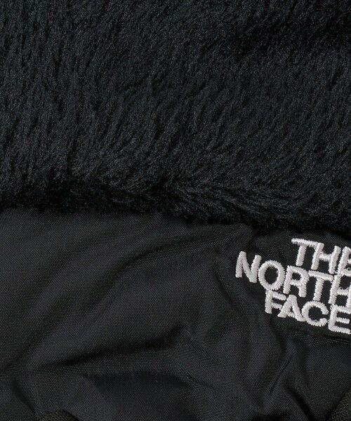 green label relaxing / グリーンレーベル リラクシング 手袋 | ＜THE NORTH FACE＞デナリイー チップ グローブ | 詳細4