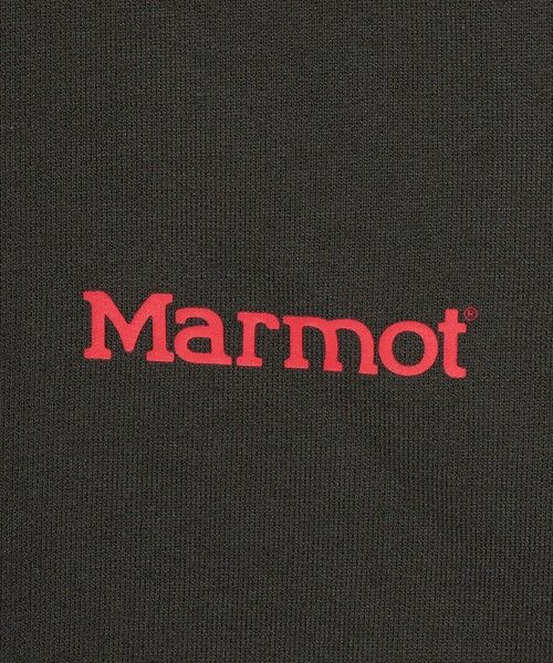 green label relaxing / グリーンレーベル リラクシング スウェット | 【別注】＜Marmot＞スウェット / トレーナー / キッズ  120cm-130cm | 詳細13