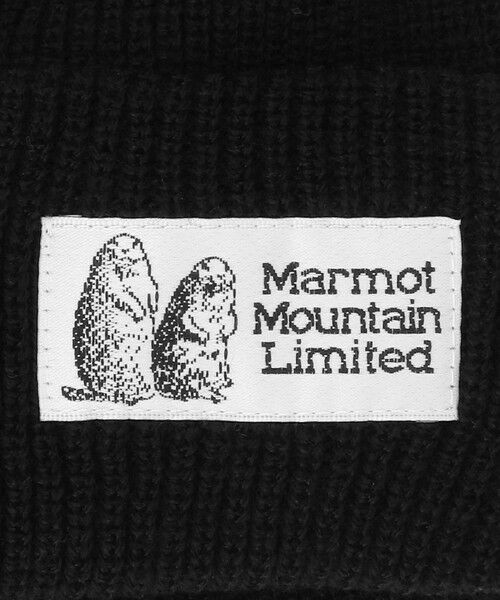 green label relaxing / グリーンレーベル リラクシング ニットキャップ | ＜Marmot＞ニットキャップ / ニット帽 / キッズ | 詳細2