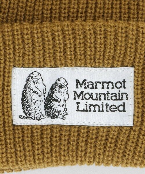 green label relaxing / グリーンレーベル リラクシング ニットキャップ | ＜Marmot＞ニットキャップ / ニット帽 / キッズ | 詳細17