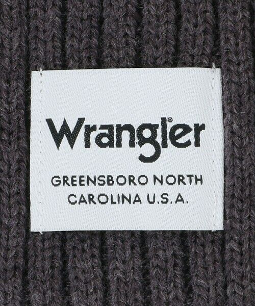 green label relaxing / グリーンレーベル リラクシング キャップ | 【別注】＜Wrangler＞ビーニー / ニット帽 / キッズ | 詳細2