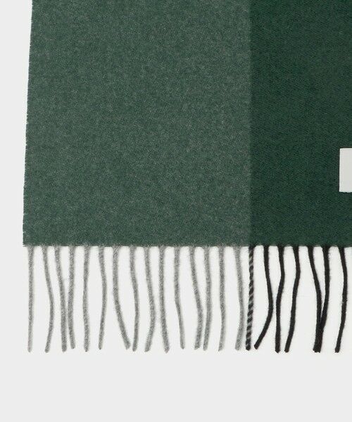 green label relaxing / グリーンレーベル リラクシング マフラー・ショール・スヌード・ストール | カシミヤ 100 パネル マフラー | 詳細9