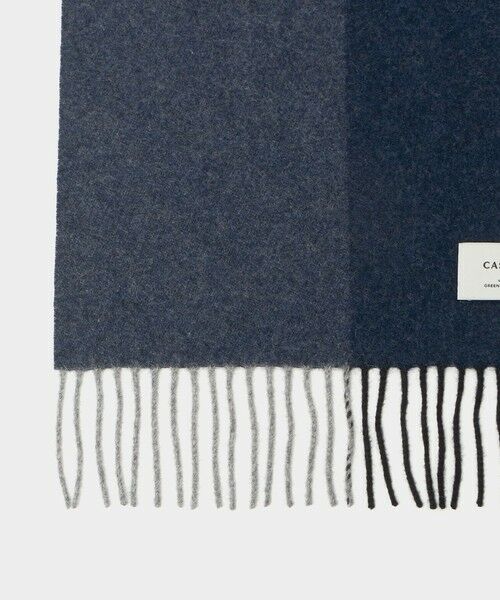 green label relaxing / グリーンレーベル リラクシング マフラー・ショール・スヌード・ストール | カシミヤ 100 パネル マフラー | 詳細12