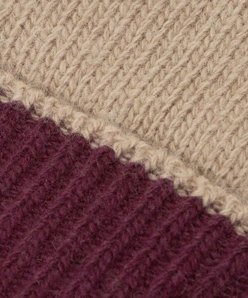 green label relaxing / グリーンレーベル リラクシング 手袋 | バイカラー ニット グローブ -タッチパネル対応- | 詳細8