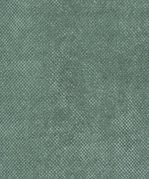 green label relaxing / グリーンレーベル リラクシング カットソー | モール カノコ クルーネック カットソー | 詳細28