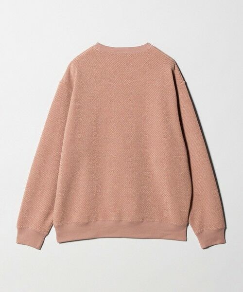 green label relaxing / グリーンレーベル リラクシング カットソー | ツイル モール クルーネック カットソー | 詳細20