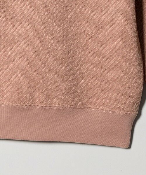 green label relaxing / グリーンレーベル リラクシング カットソー | ツイル モール クルーネック カットソー | 詳細23