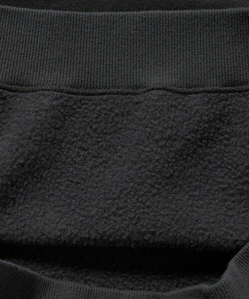 green label relaxing / グリーンレーベル リラクシング スウェット | 吊り裏毛 クルーネック スウェット | 詳細11