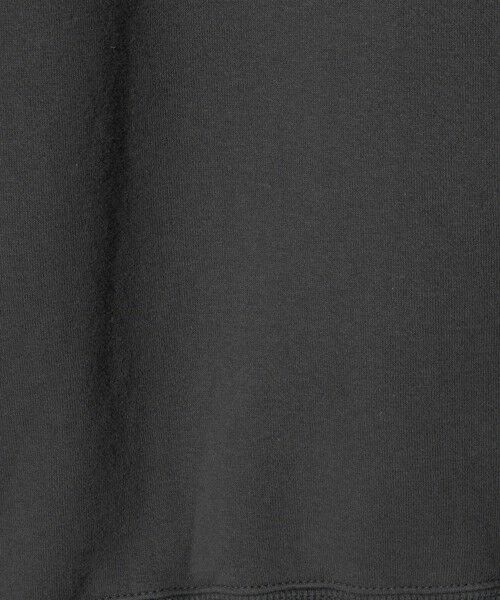 green label relaxing / グリーンレーベル リラクシング スウェット | 吊り裏毛 クルーネック スウェット | 詳細12