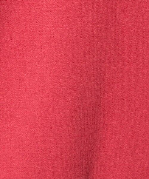 green label relaxing / グリーンレーベル リラクシング スウェット | 吊り裏毛 クルーネック スウェット | 詳細19