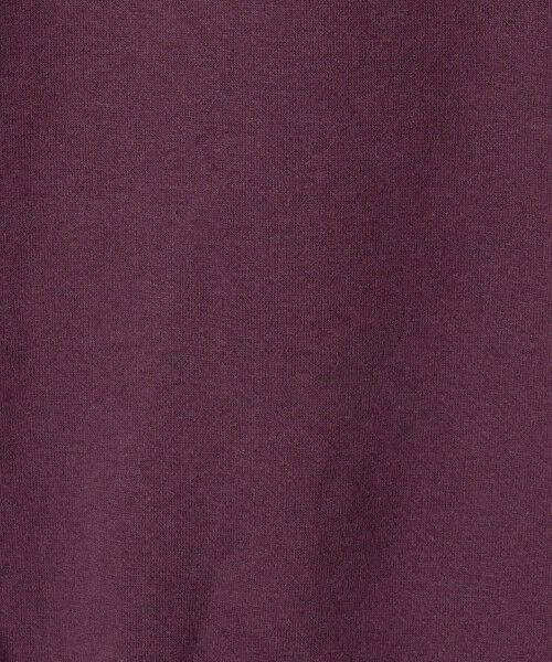 green label relaxing / グリーンレーベル リラクシング スウェット | 吊り裏毛 クルーネック スウェット | 詳細27