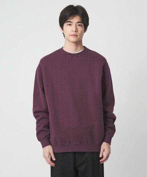 green label relaxing / グリーンレーベル リラクシング スウェット | 吊り裏毛 クルーネック スウェット | 詳細21