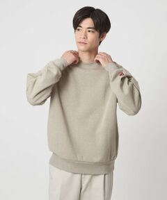 green label relaxing / グリーンレーベル リラクシング スウェット | 【別注】＜Healthknit＞クルーネック スウェット