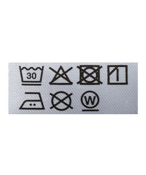 green label relaxing / グリーンレーベル リラクシング スウェット | 【別注】＜RUSSELL ATHLETIC＞GLR クルーネック スウェット | 詳細13