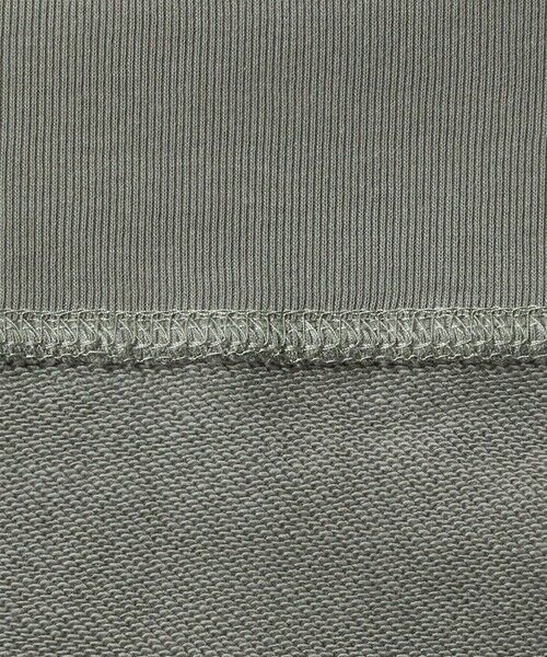 green label relaxing / グリーンレーベル リラクシング スウェット | 【別注】＜ROSTER BEAR＞GLR 刺しゅう ロゴ スウェット | 詳細18