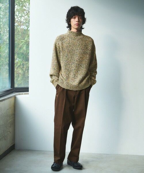 green label relaxing / グリーンレーベル リラクシング ニット・セーター | ミックス ヤーンローゲージ ロールネック ニット | 詳細1