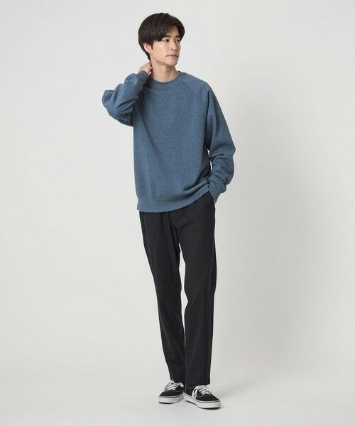 green label relaxing / グリーンレーベル リラクシング その他パンツ | TRA シャーク ナロー ユーティリティ パンツ | 詳細15