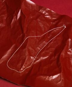 green label relaxing / グリーンレーベル リラクシング ネックレス・ペンダント・チョーカー | GLR スネーク シルバー ネックレス