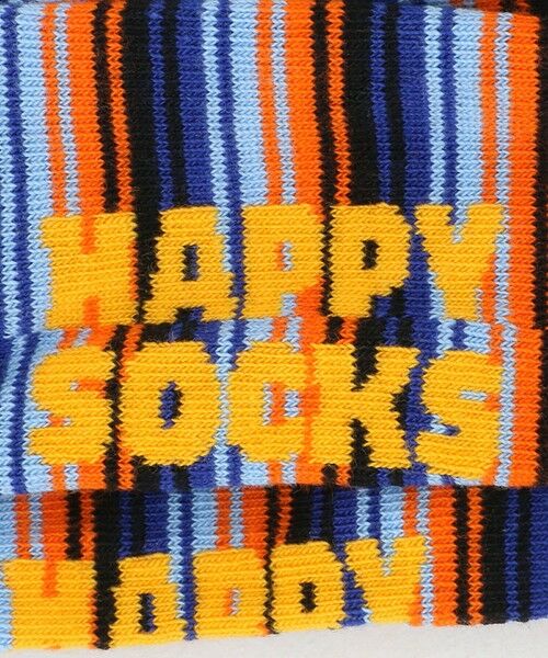 green label relaxing / グリーンレーベル リラクシング ソックス | ＜Happy Socks＞ミニ ストライプ ソックス | 詳細6