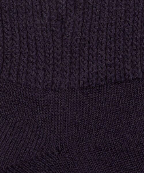 green label relaxing / グリーンレーベル リラクシング ソックス | 【別注】＜ROSTER SOX＞GLR ベア ソックス | 詳細14