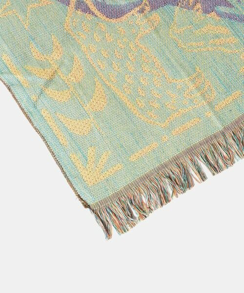 green label relaxing / グリーンレーベル リラクシング インテリア・インテリア雑貨 | ＜HERE by DETAIL＞オアハカ スローケット S ブランケット | 詳細3