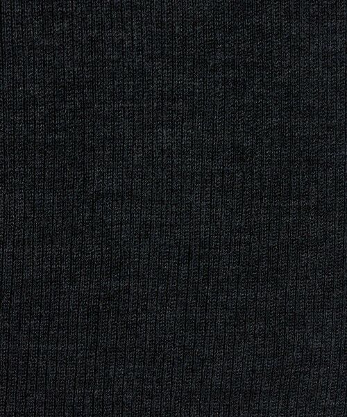 green label relaxing / グリーンレーベル リラクシング ニット・セーター | ウール シアー リブ クルーネック ニット ウォッシャブル | 詳細22