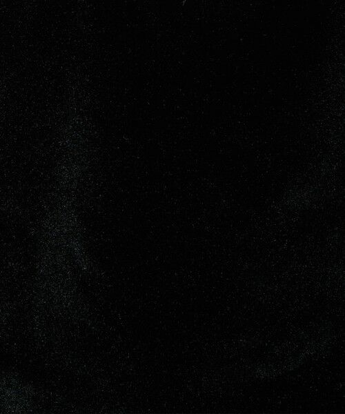 green label relaxing / グリーンレーベル リラクシング トートバッグ | スクエア サブバッグ / トートバッグ | 詳細6