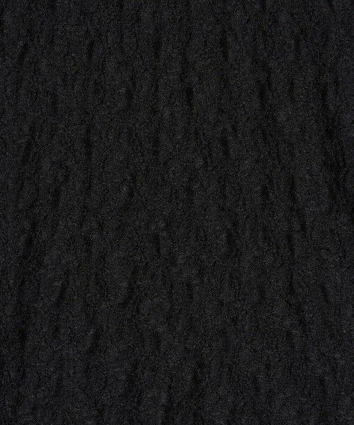 green label relaxing / グリーンレーベル リラクシング カットソー | シアー レース プルオーバー カットソー | 詳細20