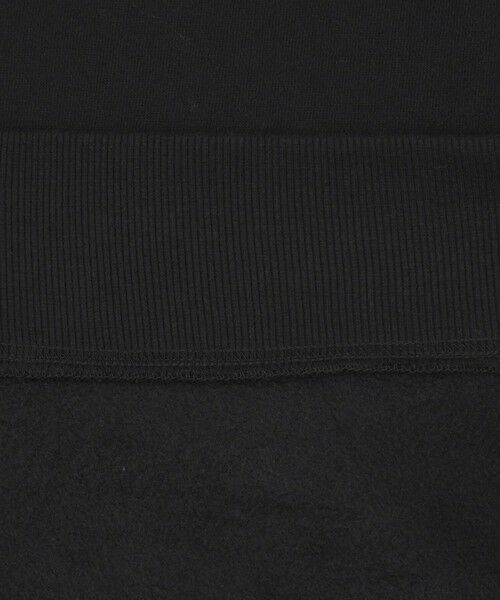 green label relaxing / グリーンレーベル リラクシング スウェット | 【WEB限定】＜at ease＞チュール ドッキング スウェット プルオーバー | 詳細6