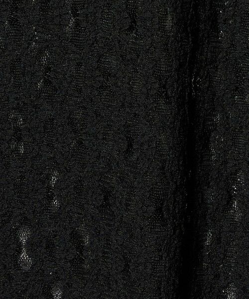 green label relaxing / グリーンレーベル リラクシング カットソー | 【WEB限定】＜at ease＞シャーリングレース プルオーバー カットソー | 詳細27