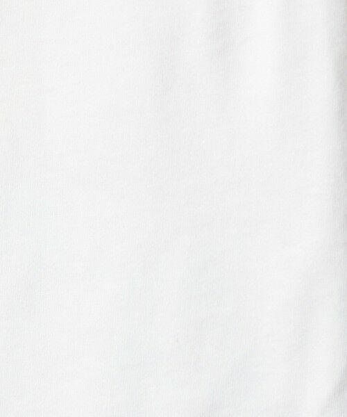 green label relaxing / グリーンレーベル リラクシング カットソー | 【WEB限定】＜at ease＞アソート フォト  ロングスリーブ カットソー | 詳細30