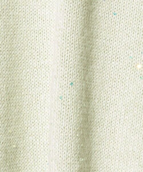 green label relaxing / グリーンレーベル リラクシング ニット・セーター | スパンコール ニット プルオーバー ウォッシャブル | 詳細30
