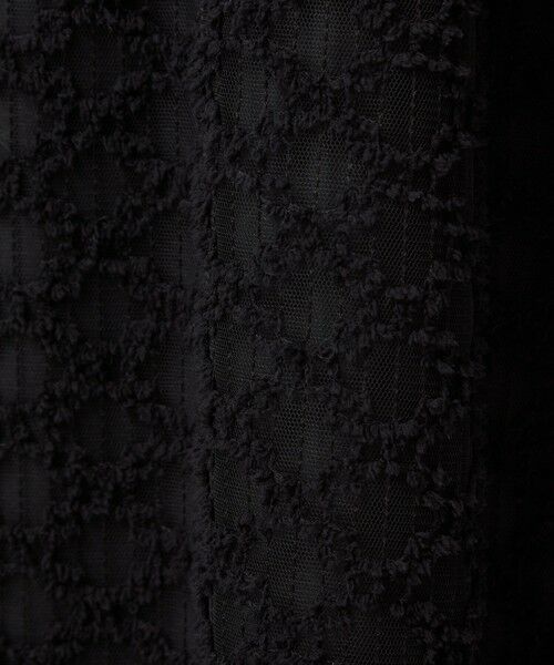 green label relaxing / グリーンレーベル リラクシング ロング・マキシ丈スカート | シアー シシュウ フレア スカート | 詳細20