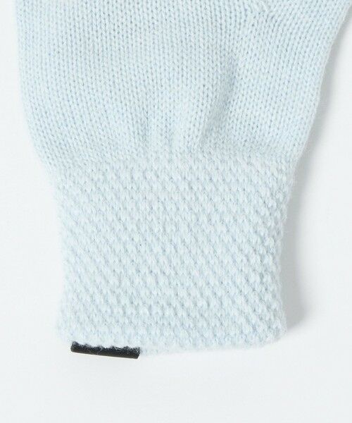 green label relaxing / グリーンレーベル リラクシング 手袋 | 【別注】＜INFIELDER DESIGN＞ベアー グローブ 手袋  タッチパネル対応 | 詳細21