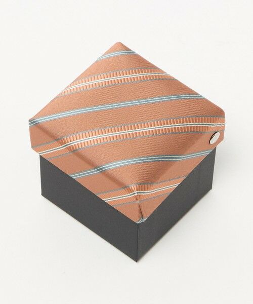 green label relaxing / グリーンレーベル リラクシング ネクタイ | ネクタイ チーフ セット(ストライプ) / キッズ 手洗い可能 | 詳細12